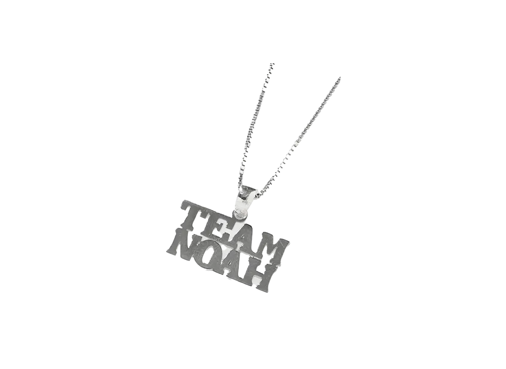 PRO WRESTLING NOAH 25th ANNIV \ 89xiitokyo TEAM SILVER NECKLACE "SILVER"