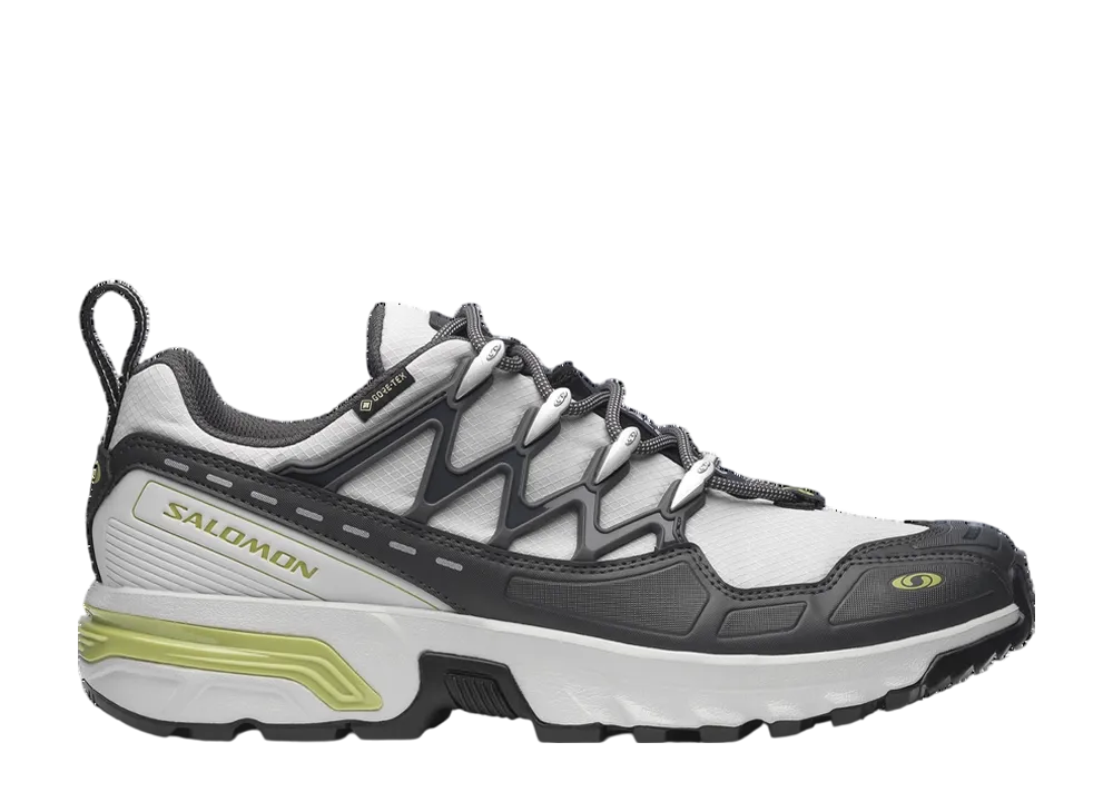 Salomon ACS+ GORE-TEX "Gray Violet/Asphalt/Sweet Pea"