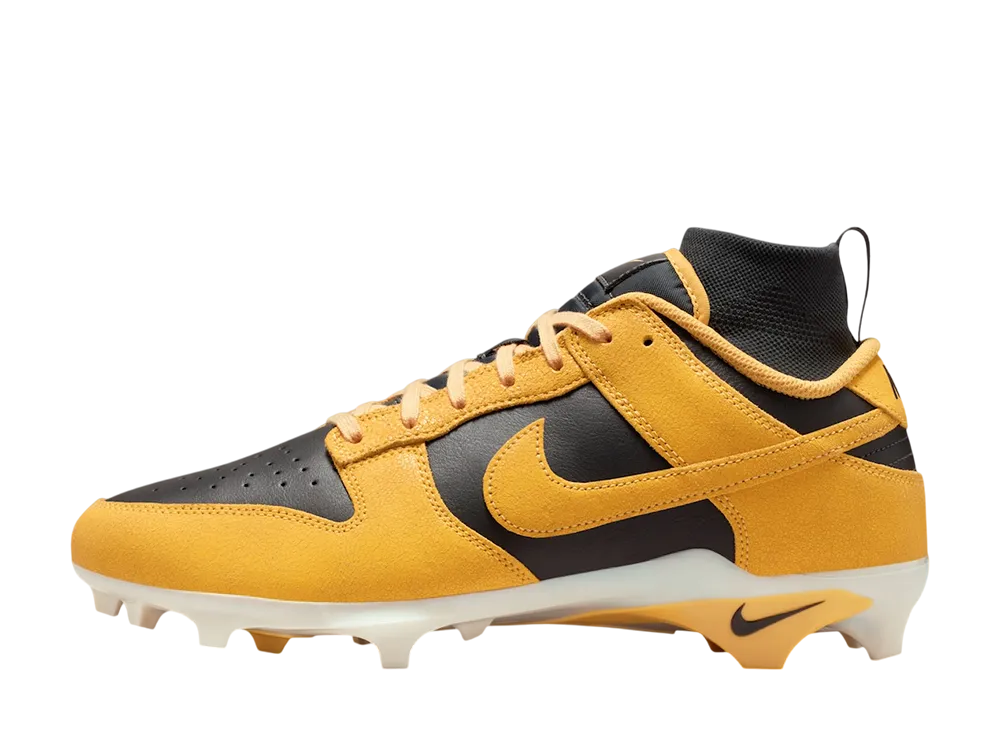 ナイキ アルファメナス ダンク クリーツ "アイオワ"