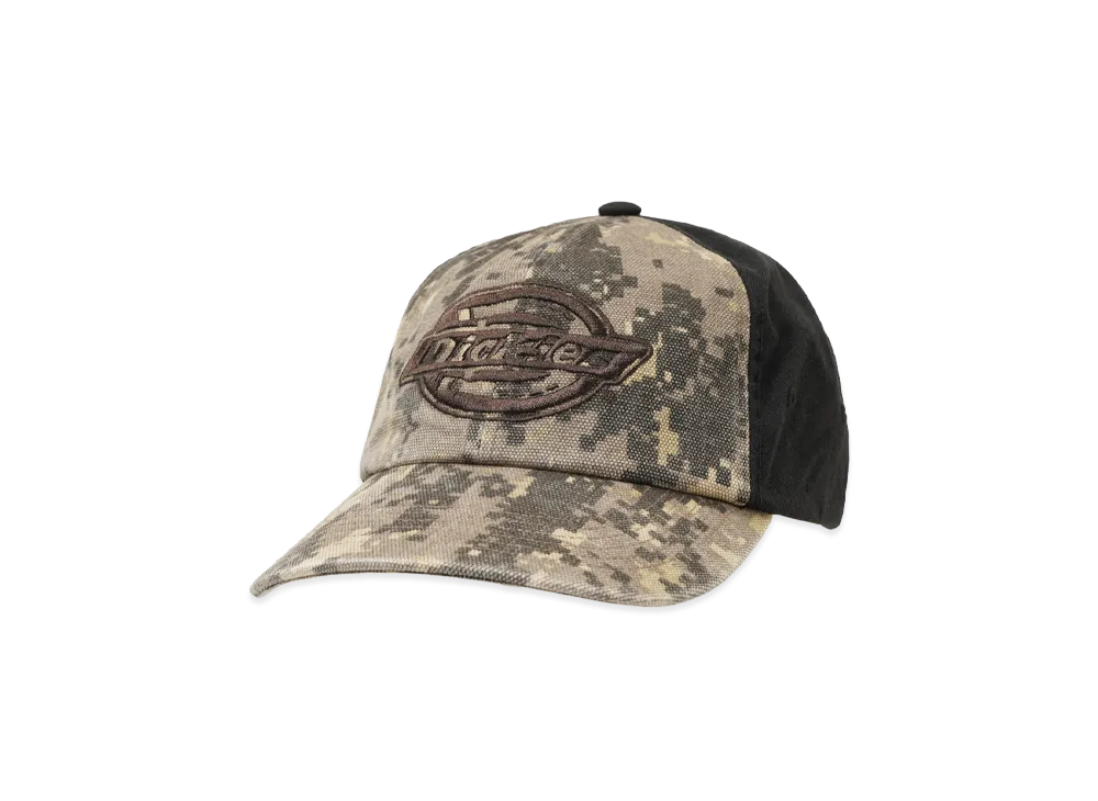 Supreme x Dickies Cordura 6-Panel "Digi Camo"