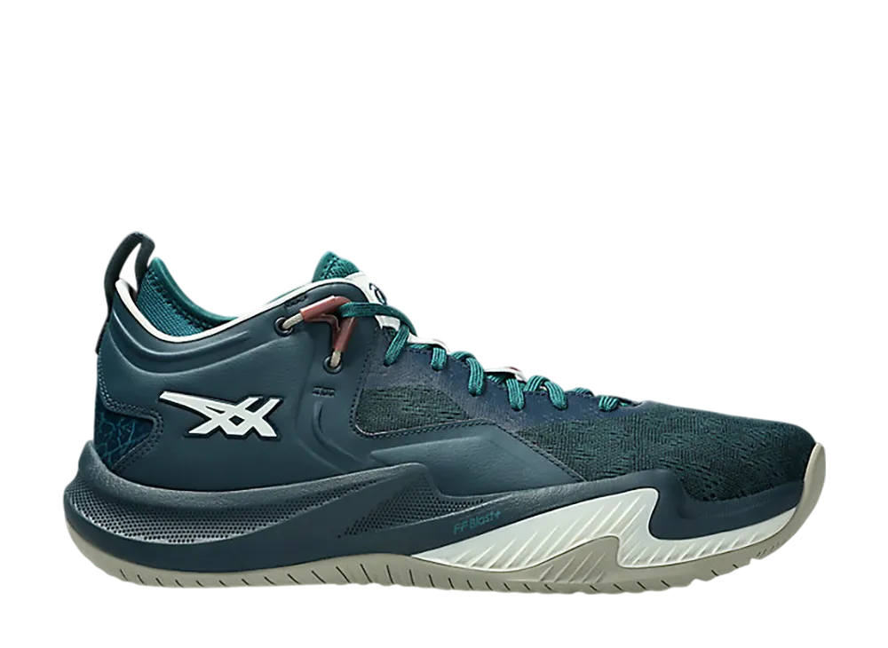 asics NOVA SURGE LOW 2 25cm 新品未使用 ASICS アシックス NOVA SURGE LOW 2 シューズ バスケット