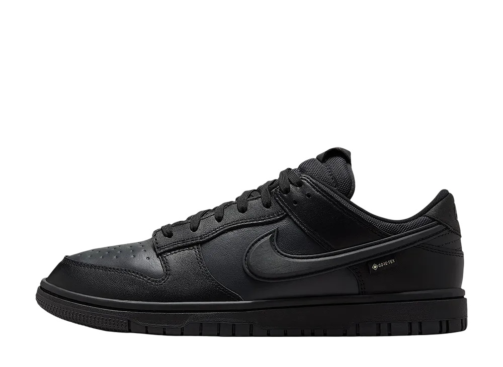 ナイキ ダンク ロー ゴアテックス "トリプルブラック"
