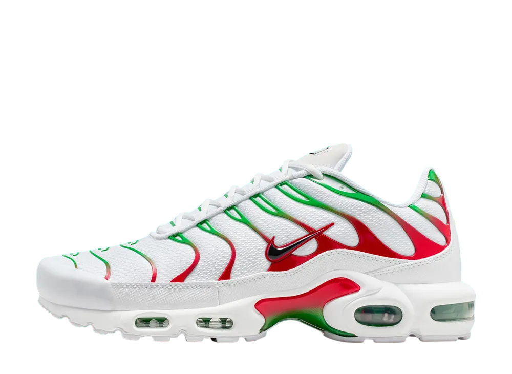 Nike Air Max Plus "Italy"