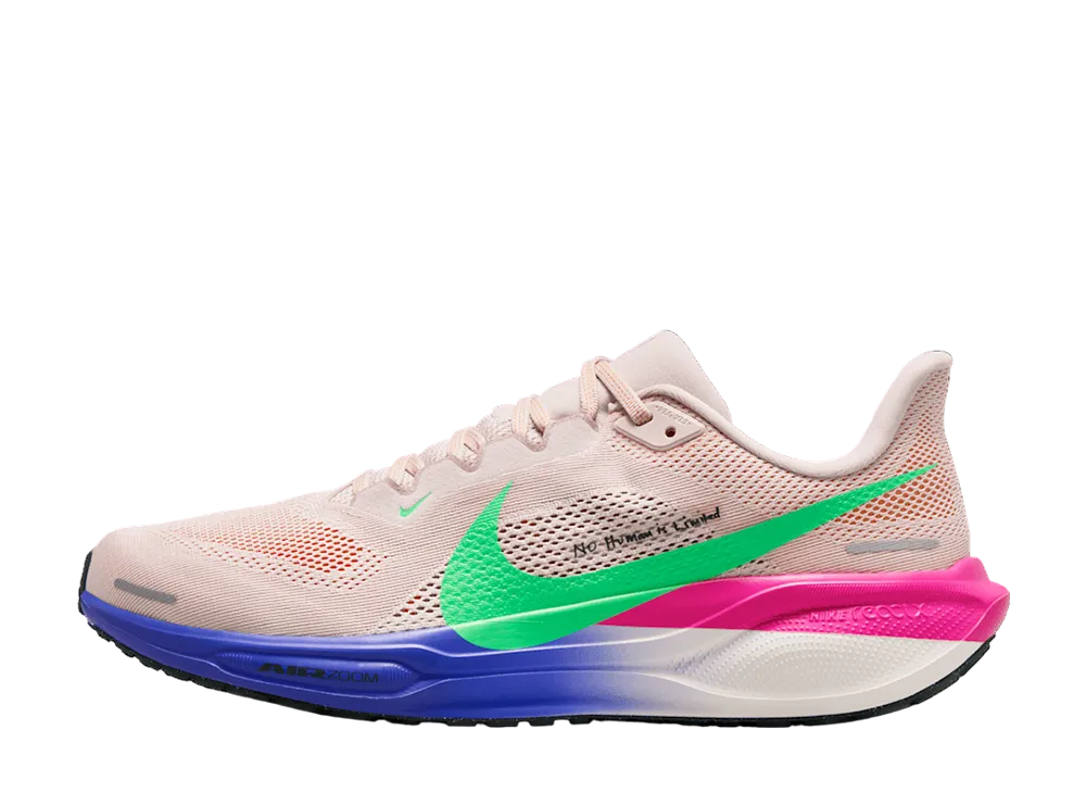 ナイキ ペガサス41 "エリウドキプチョゲ"