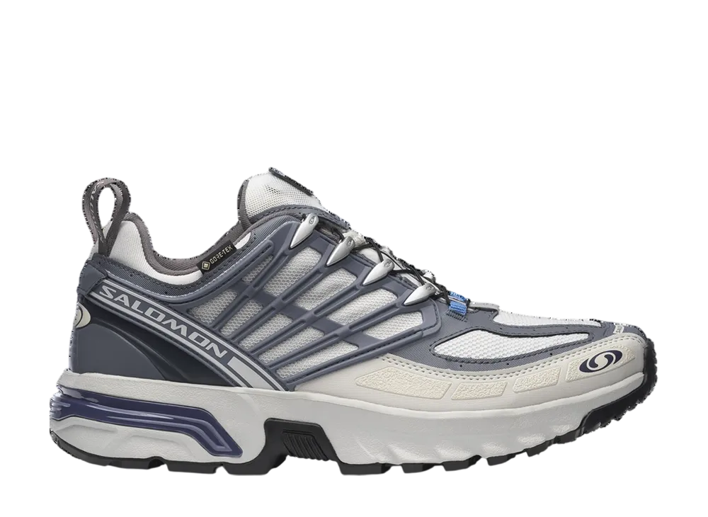 Salomon ACS Pro GORE-TEX "Lunar Rock/Grisaille/Plum Kitten"