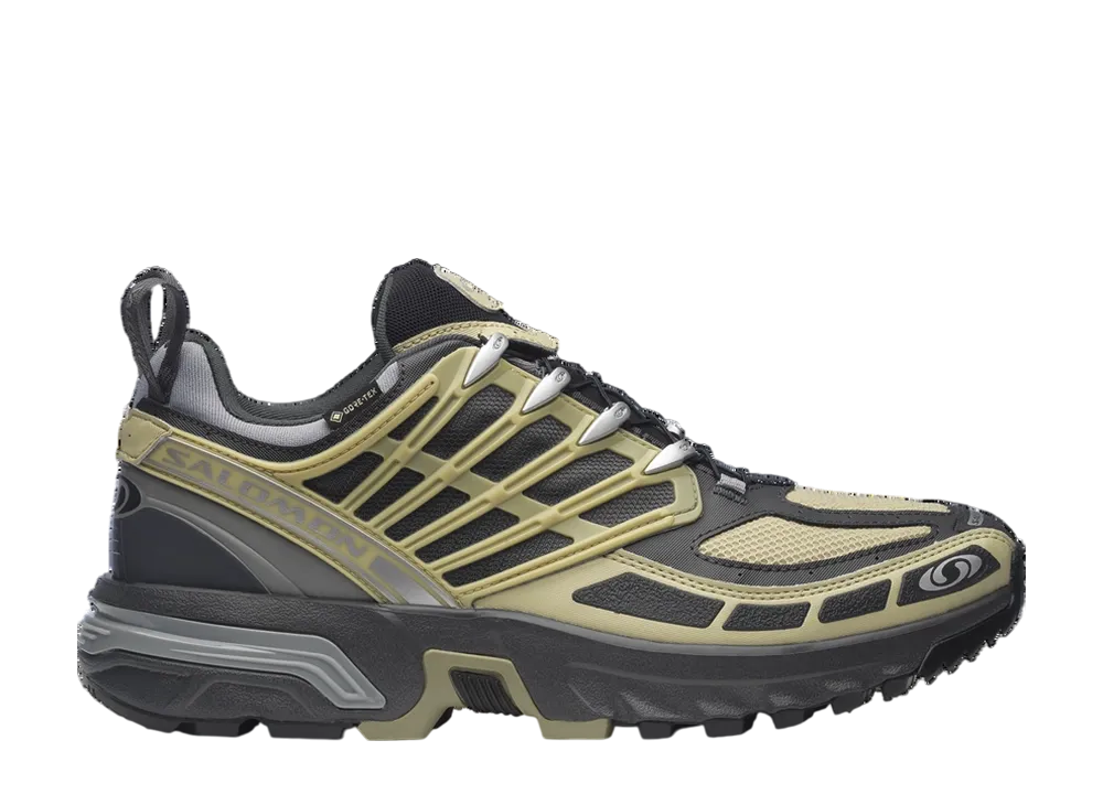  サロモン ACS プロ ゴアテックス "グレーグリーン/アスファルト/モニュメントン"