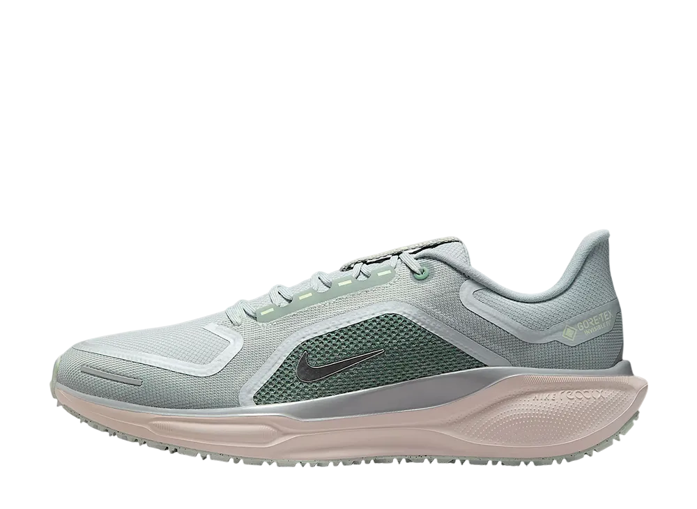 ナイキ ペガサス41 ゴアテックス "ライトパミス/ピュアプラチナム/シルトレッド/メタリックシルバー"