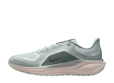 Nike Pegasus 41 GORE-TEX "Light Pumice/Pure Platinum/Silt Red/Metallic Silver"