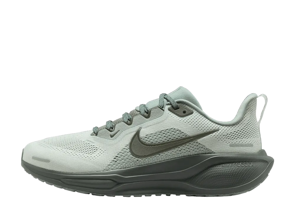 Nike Women's Pegasus 41 "Mica Green/Barely Green/Sequoia"