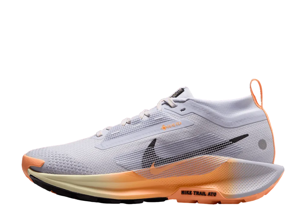 Nike Women's Pegasus Trail 5 GORE-TEX "Ghost/Malt/Orange Pulse/Black"