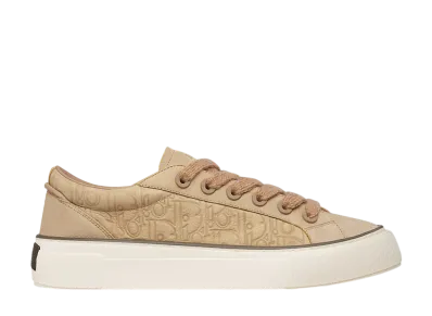 Dior B33 Spin Sneaker Nubuck & Dior Gravity Nubuck "Brown"
