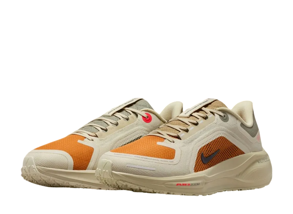 Nike Women's Pegasus 41 GORE-TEX "Running Poets"