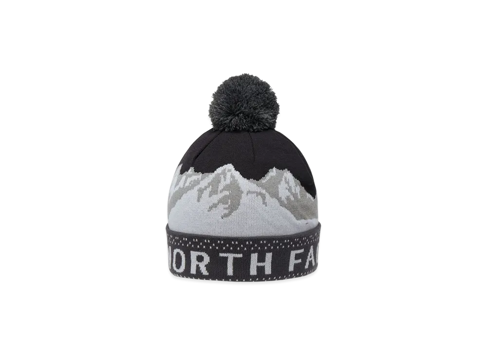 The North Face Snow Bum Beanie "Asphalt Gray"