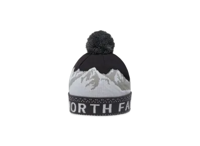 The North Face Snow Bum Beanie "Asphalt Gray"