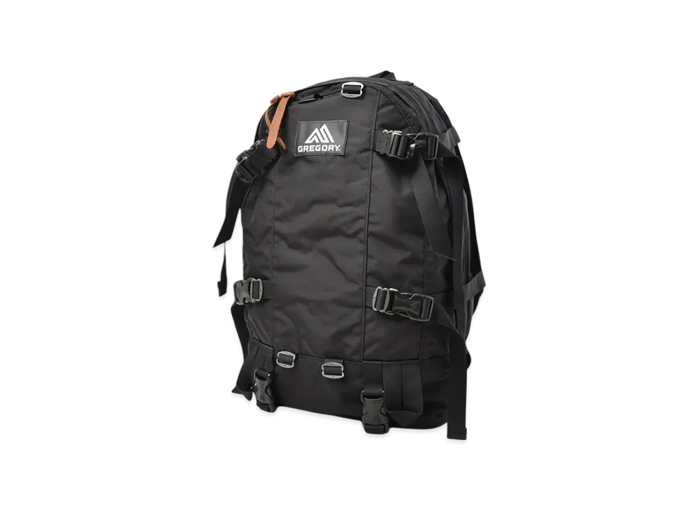 GREGORY Day And A Half Pack Backpack "Black"