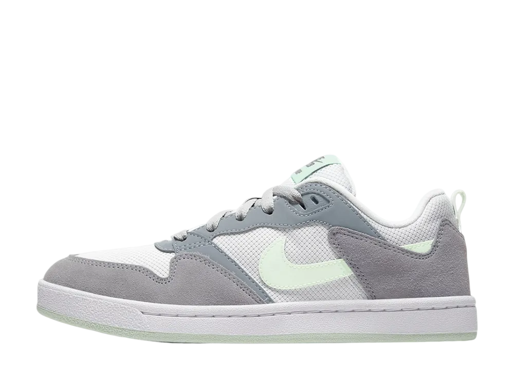 ナイキ SB ウィメンズ アリウープ "パーティクルグレー/フォトンダスト/ジェイドオーラ"