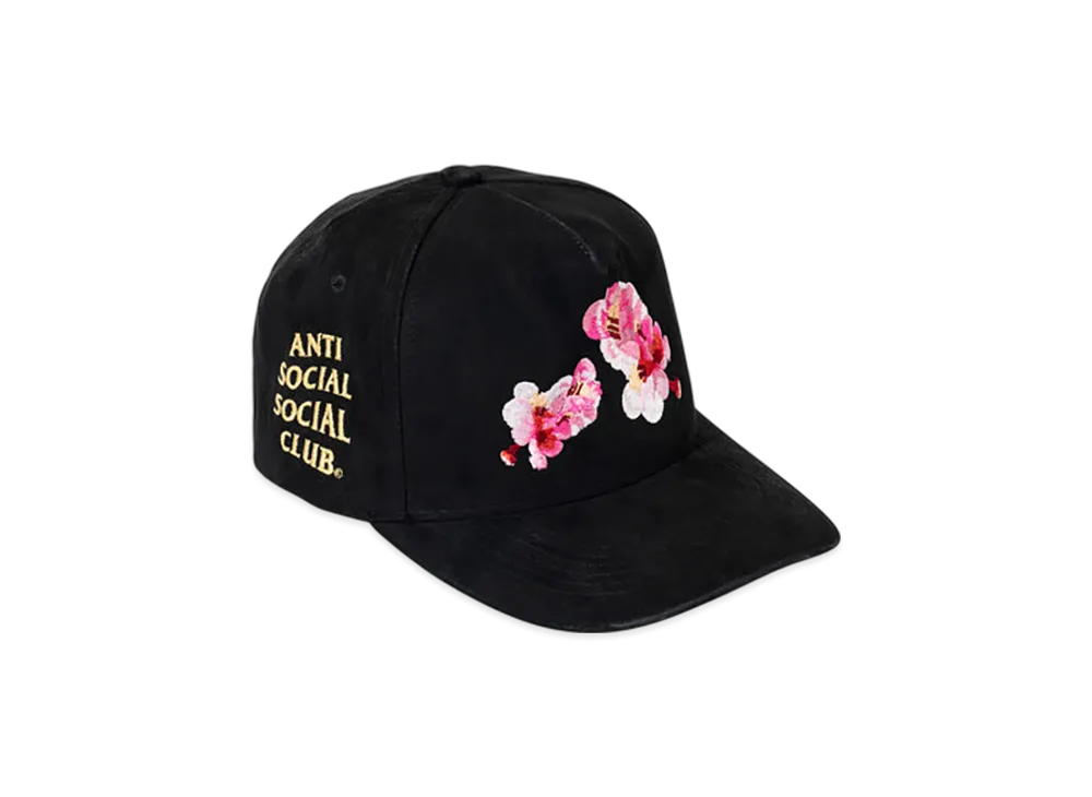 ANTI SOCIAL SOCIAL CLUB Ruskind Cap "Black"