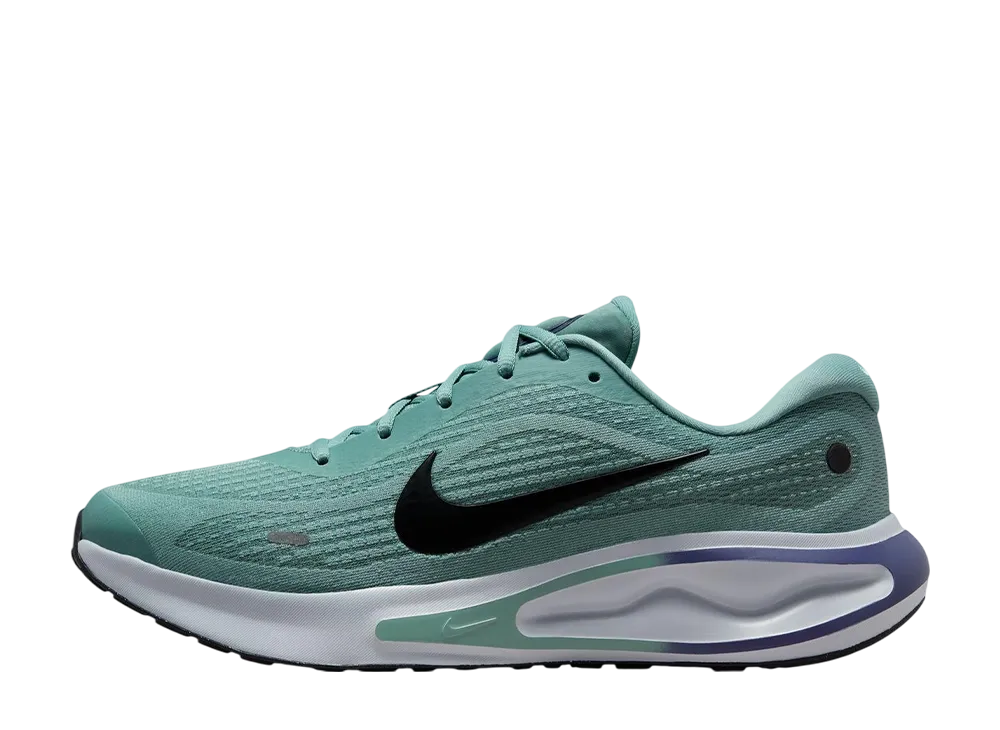 ナイキ ジャーニーラン "キャノン/ブラック-サンデッドパープル-ピュアプラチナム"