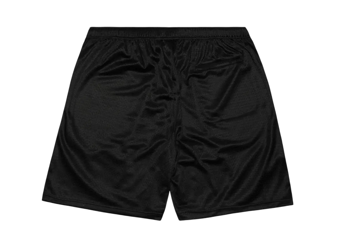 Supreme Small Box Baggy Mesh Short 