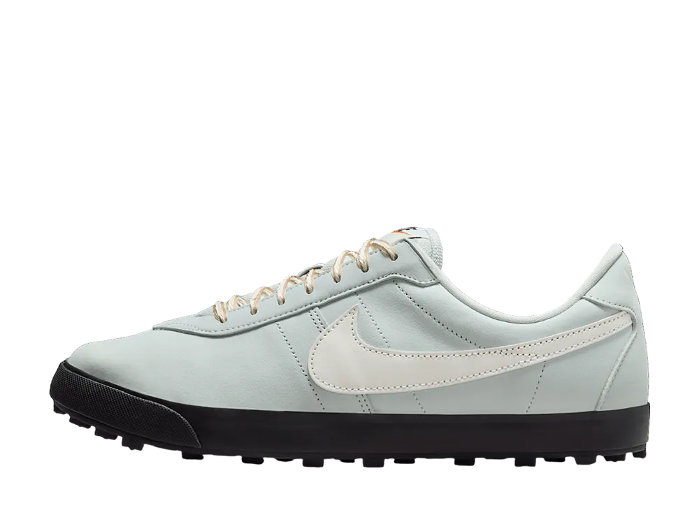 ナイキ アストログラバー "セイル/ライトシルバー"