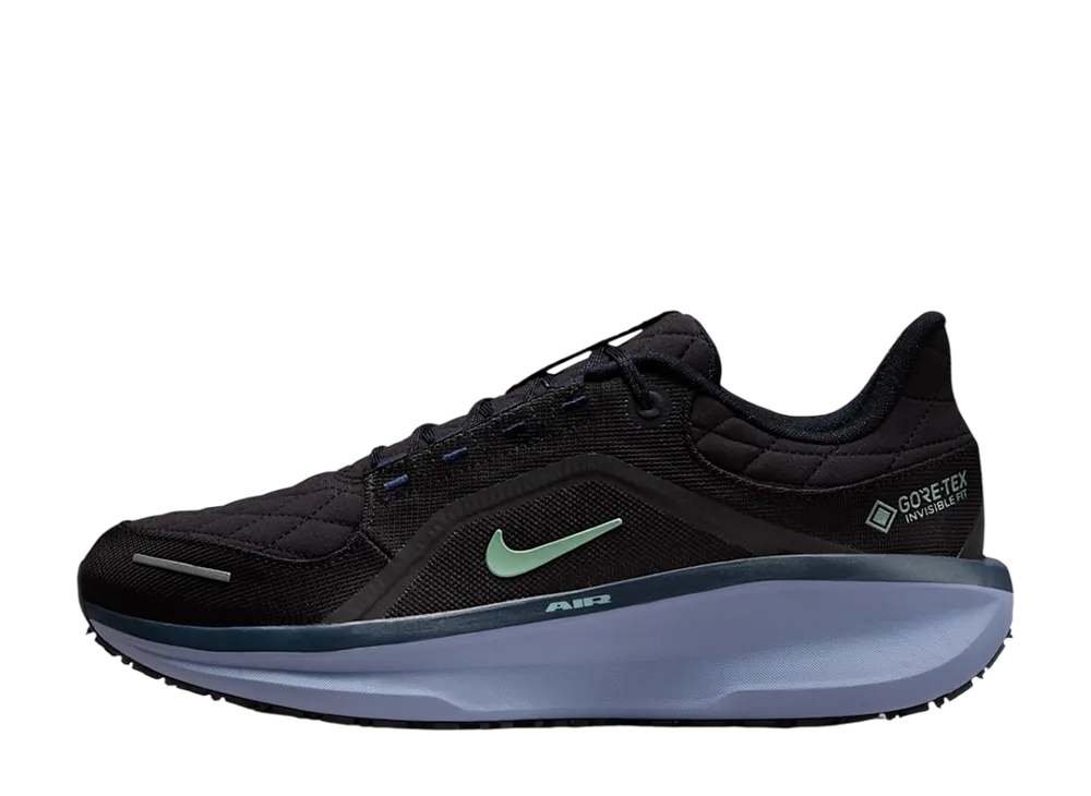 Nike Winflo 11 GORE-TEX "Black/World Indigo/Obsidian/Cannon"