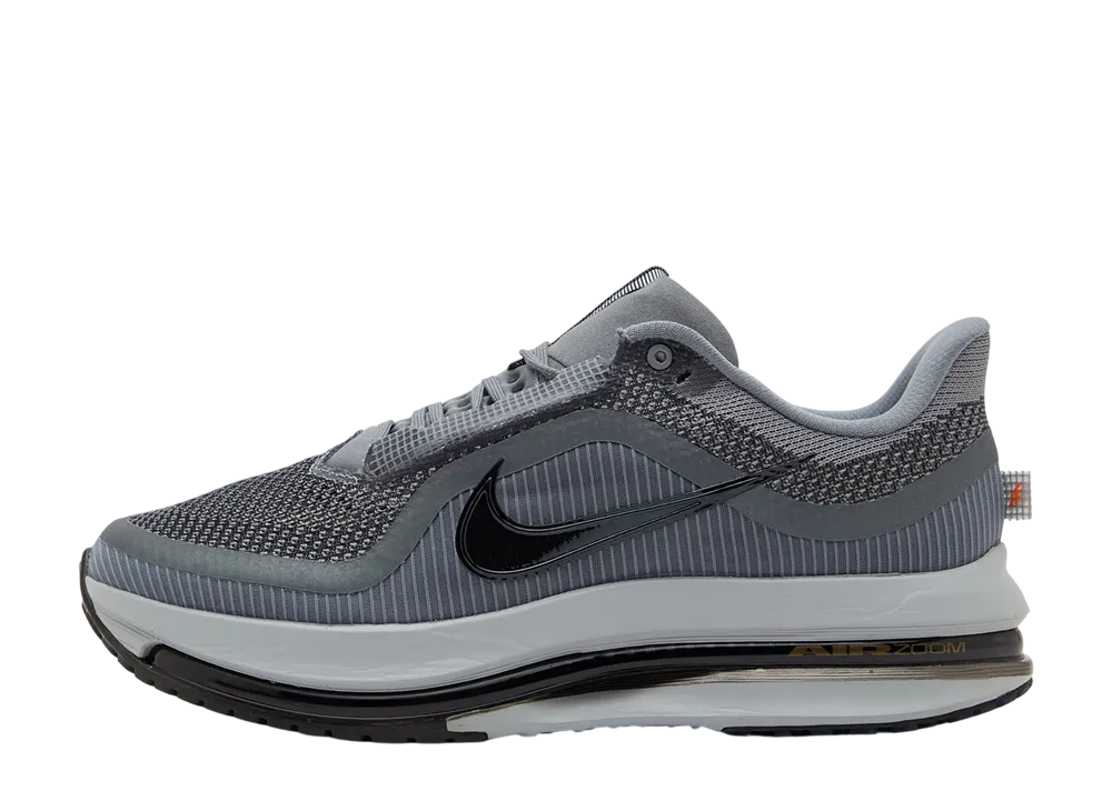 ナイキ ペガサス プレミアム "クールグレー"