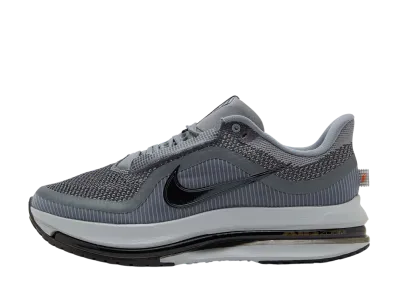 Nike Pegasus Premium "Cool Grey"