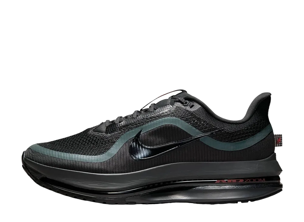 Nike Pegasus Premium "Anthracite"