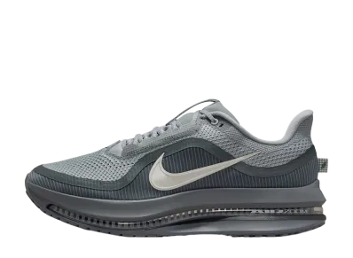 Nike Pegasus Premium "Wolf Grey"