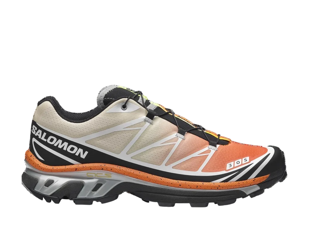 Andrew × Salomon XT-6 "Stone Crab"