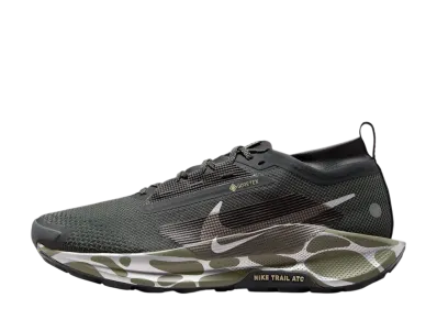 Nike Pegasus Trail 5 GORE-TEX "Anthracite/Light Army/Red Sepia/Reflect Silver"