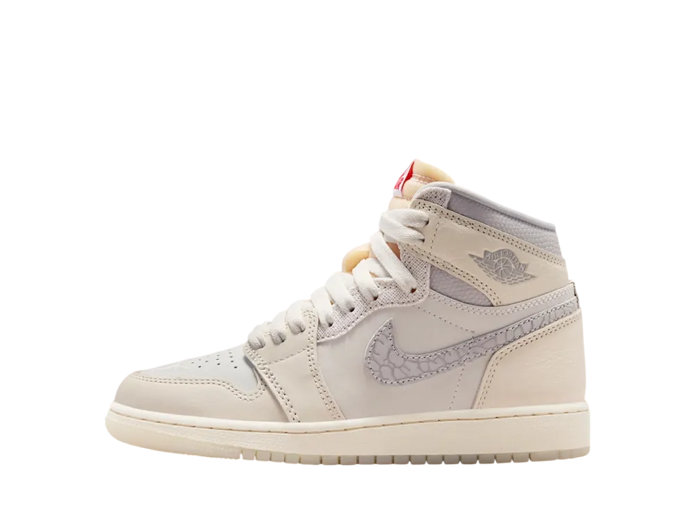 Nike GS Air Jordan 1 Retro High OG 