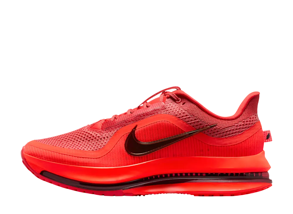 Nike Pegasus Premium "Light Crimson"