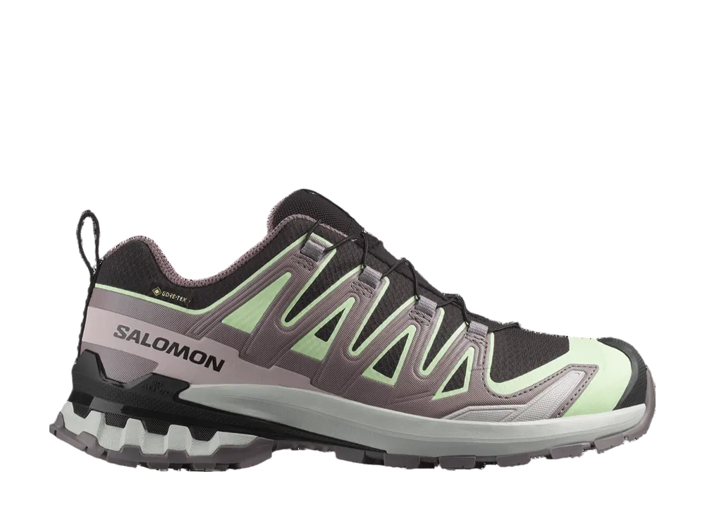 Salomon Women's XA Pro 3D V9 GORE-TEX "Black/Patina Green/Gray Violet"