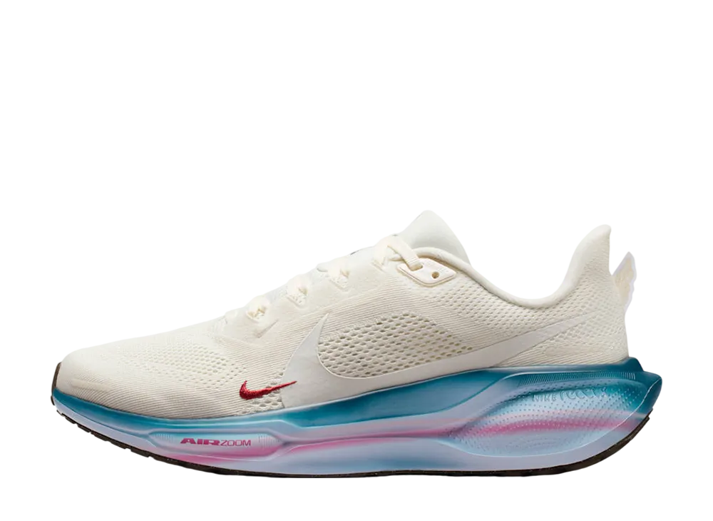 ナイキ ウィメンズ ペガサス41 "セイル/マルチカラー"