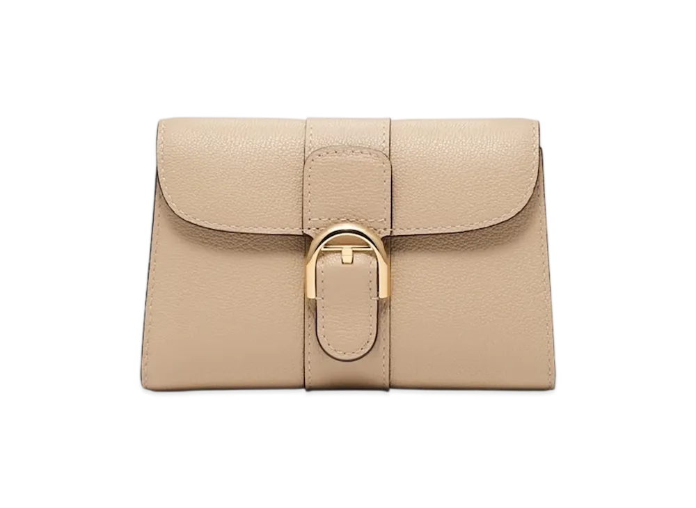 DELVAUX Brillant Compact Wallet "Sirocco"