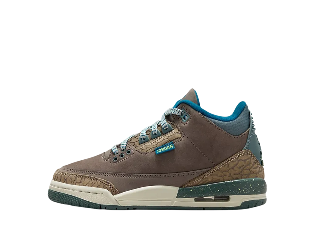 ナイキ GS エアジョーダン3 "ウィー アウトサイド" (キッズ)