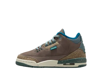 Nike GS Air Jordan 3 "We Outside"