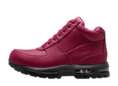 Nike Air Max Goadome "DMV"