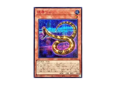 遊戯王OCG デュエルモンスターズ プレミアム パック 2026 ボックス 遊戯王OCG デュエルモンスターズ プレミアム パック 2026 ボックス