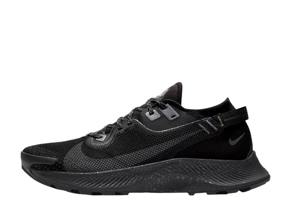 ナイキ ペガサス トレイル2 ゴアテックス "ブラック"