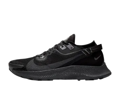 Nike Pegasus Trail 2 GORE-TEX "Black"