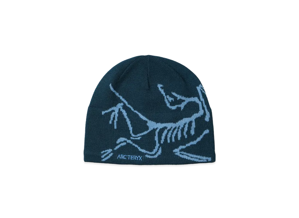 ARC'TERYX Bird Head Toque "Nightscape/Glacial" X000006756