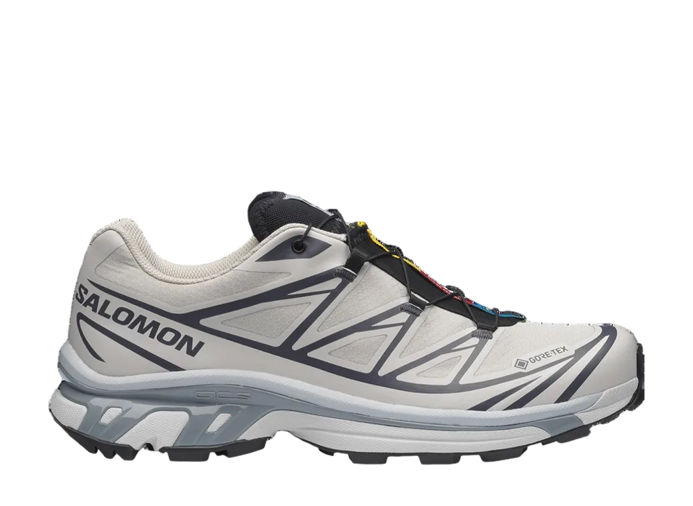 サロモン XT-6 ゴアテックス "シルバークラウド/ブラック"