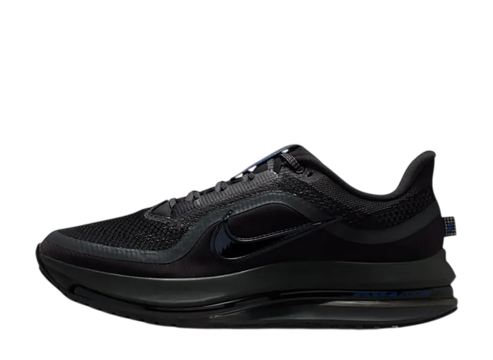 ナイキ ペガサス プレミアム "アンスラサイト"