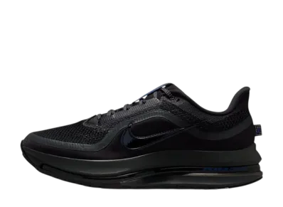 Nike Pegasus Premium "Anthracite"