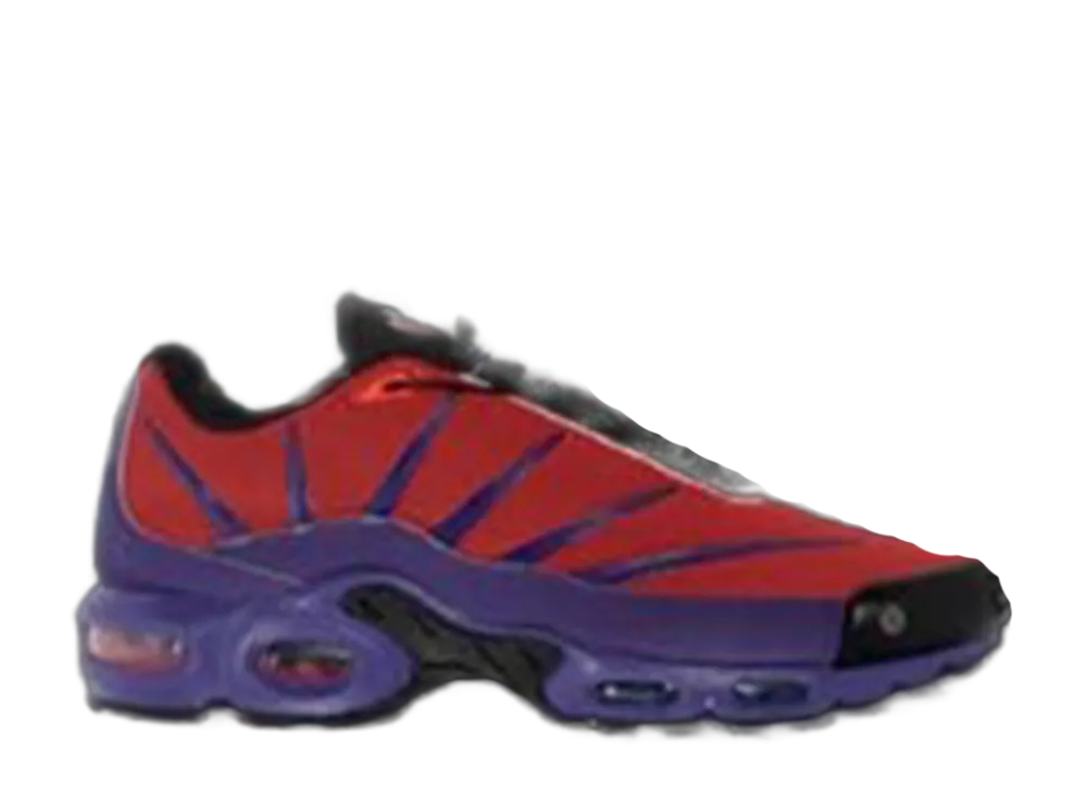 ドレイク ノクタ × ナイキ エアマックスプラス TN "レッド/パープル"