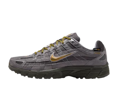Nike P-6000 PRM Cordura "Medium Ash/Golden Hops"