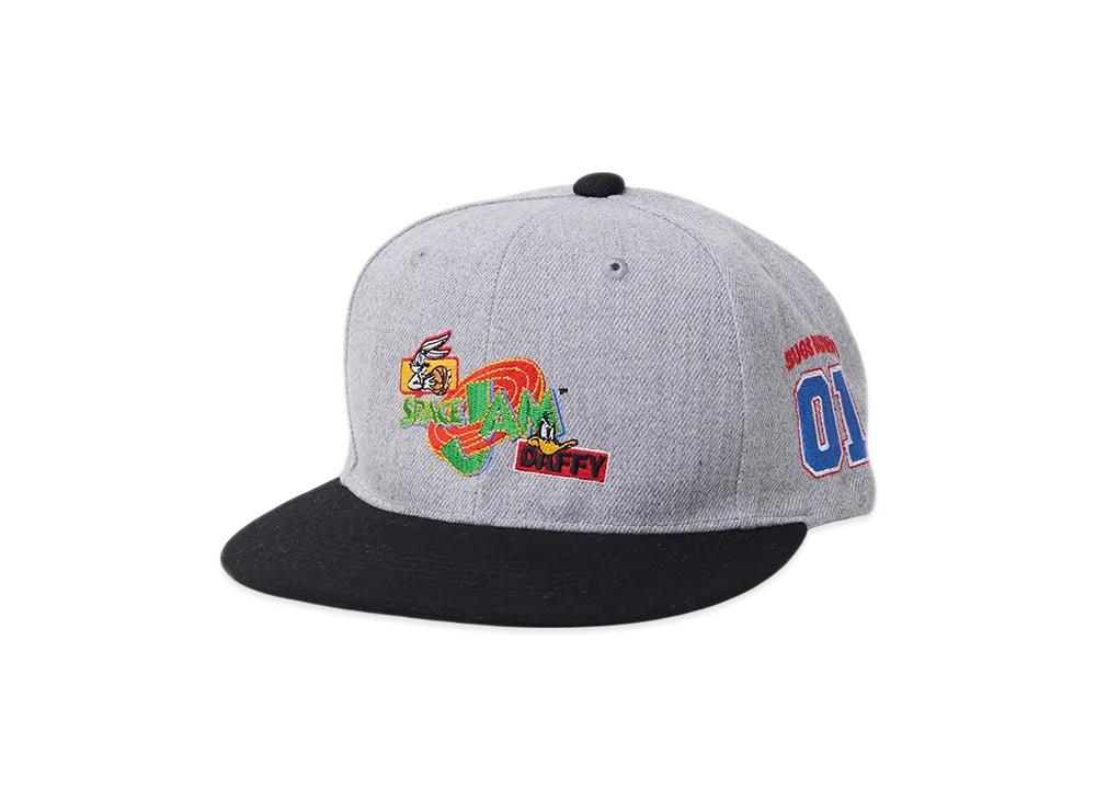 WIND AND SEA x SPACE JAM Cap "Gray"