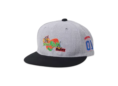 WIND AND SEA x SPACE JAM Cap "Gray"